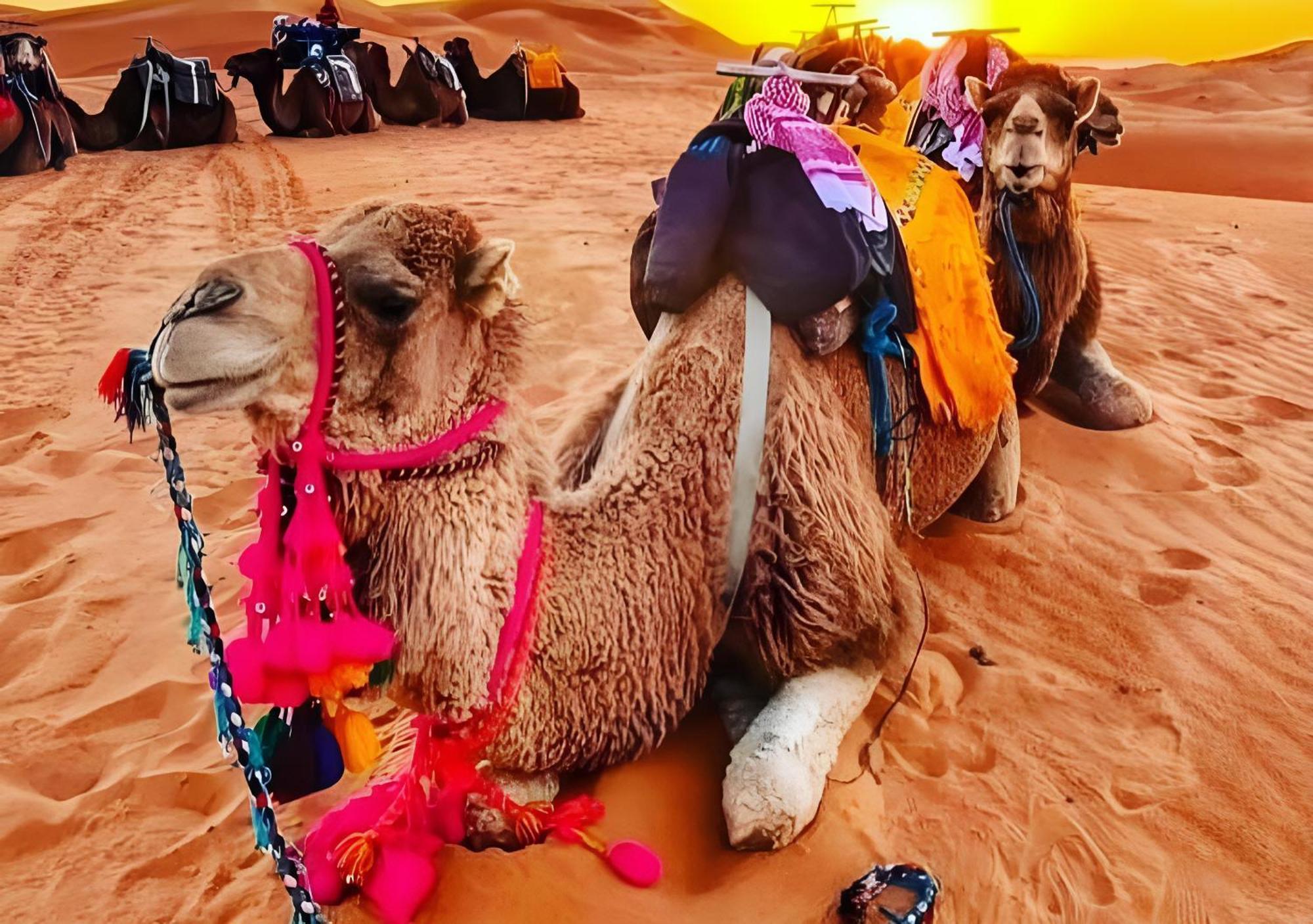 Top Desert Luxury Camp Merzouga Exterior foto